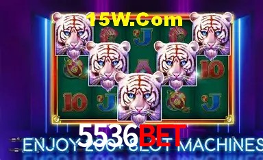 5536Bet Salvador - Statistics